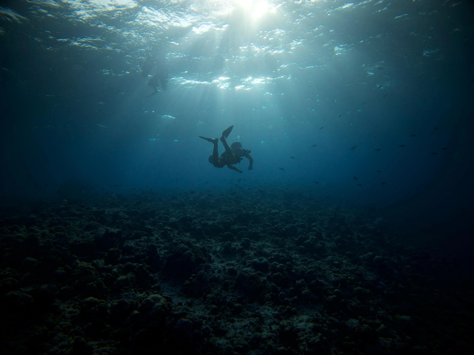 Independent Scuba Diving Lakshadweep