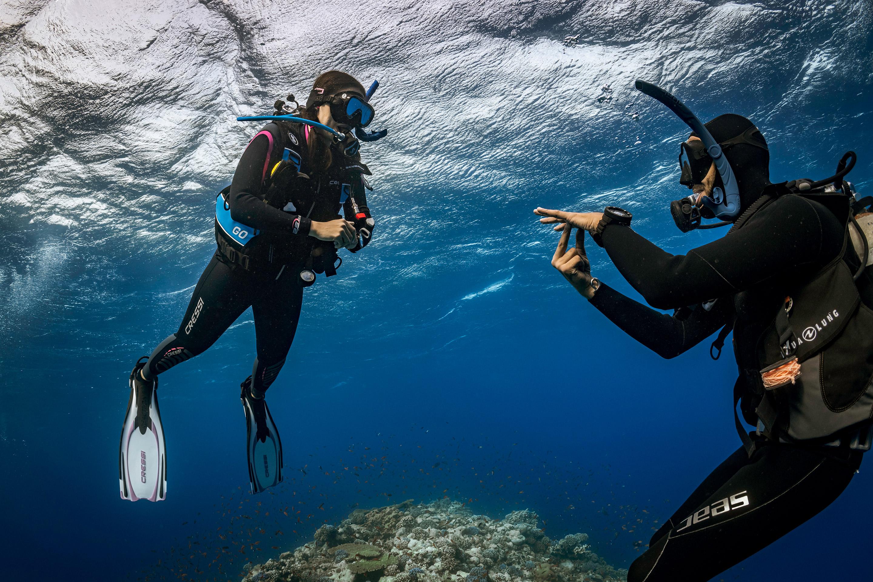 Tropical Reef Fish in Agatti