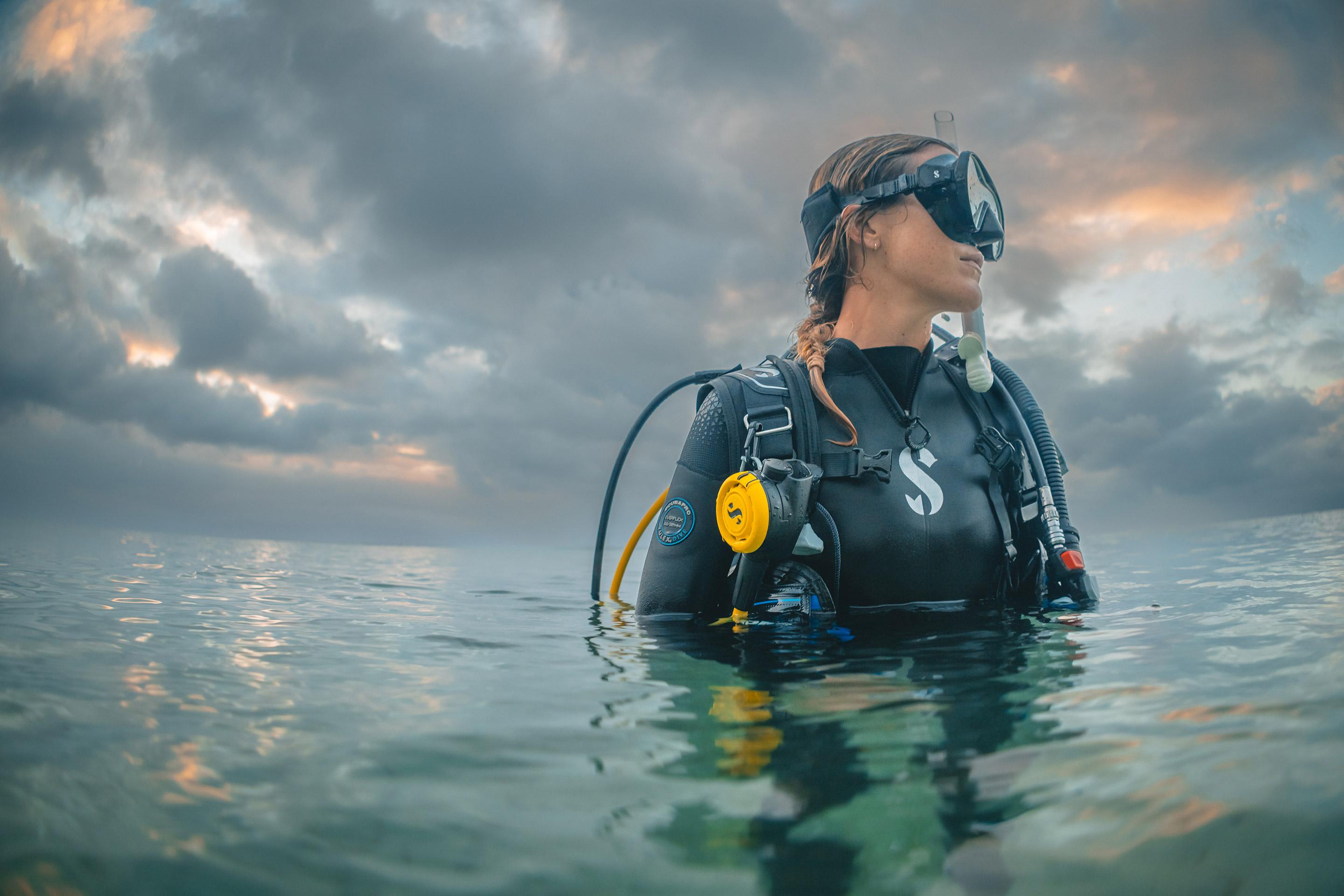 Rays and Pelagic Marine Life